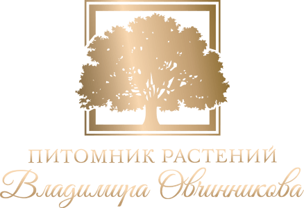 Питомник растений коломна. Питомник растений логотип. Логотип питомника растений и цветов.